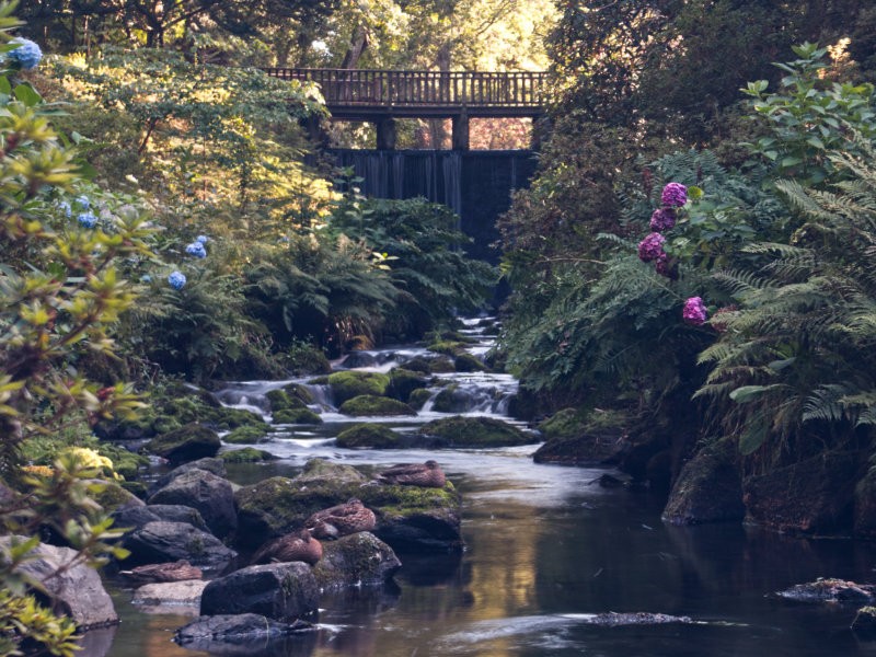 Post Banner - National Trust Bodnant Garden