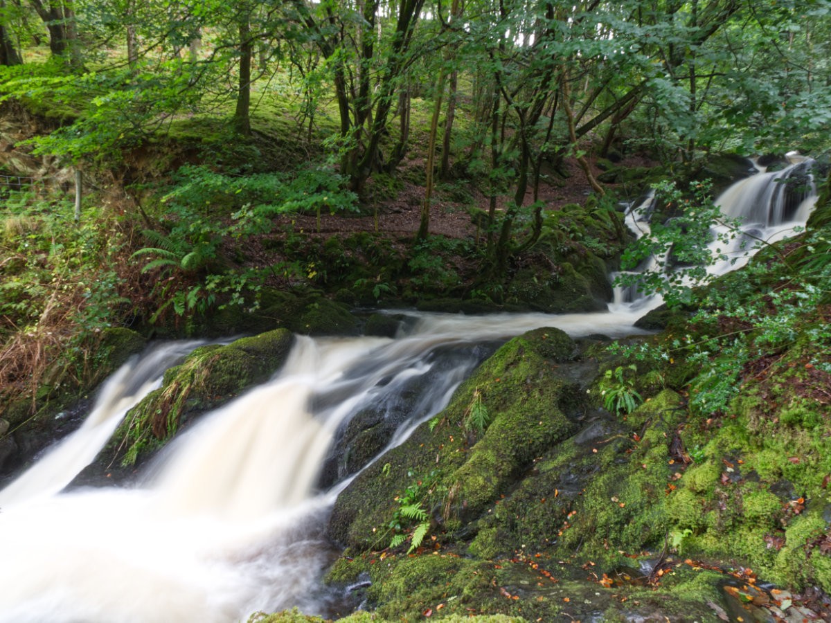 Post Banner - Arthog Falls - a gem tucked out of sight