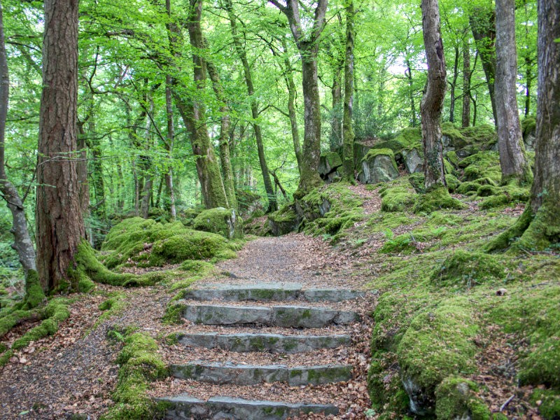 Post Banner - 7 easy-going walks around Snowdonia