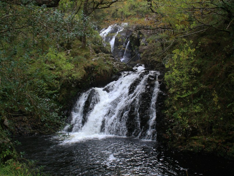 Post Banner - Rhaeadr Ddu and Coed Ganllwyd walk