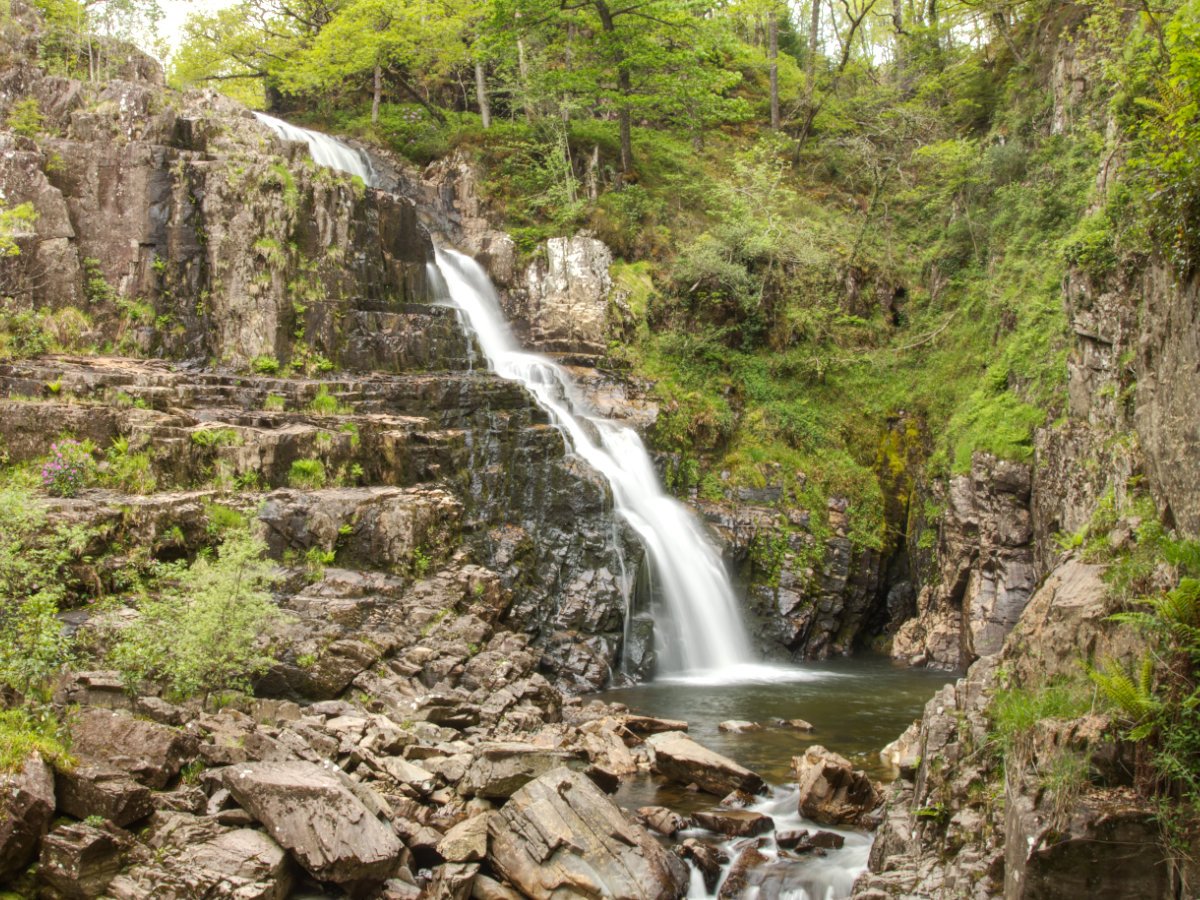 Post Banner - Coed y Brenin - Gain Waterfall Walking Trail