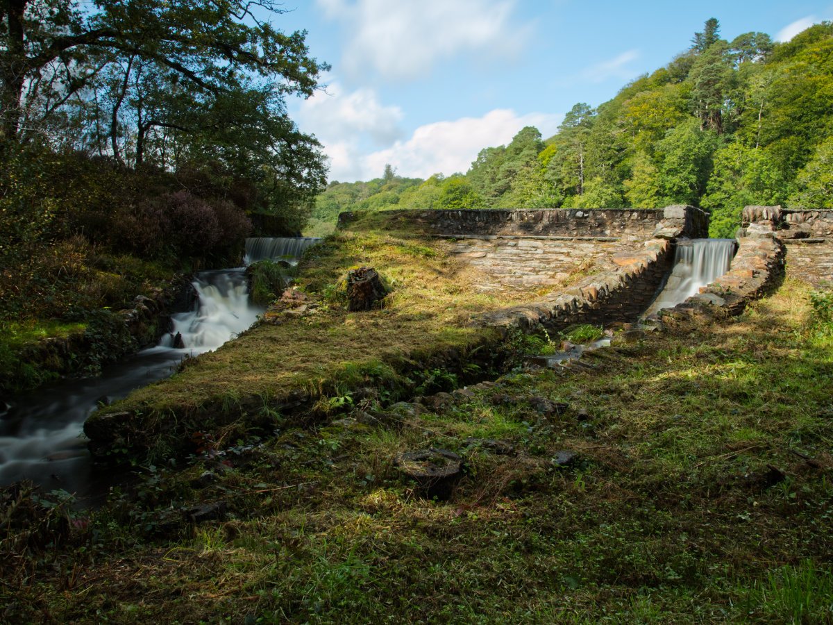 Post Banner - Coedydd Maentwrog's woodland and lake loops - Tafarntrip Covert, & Coed Llyn Mair, Coed Hafod-y-Llyn and Plas Tan y Bwlch Gardens