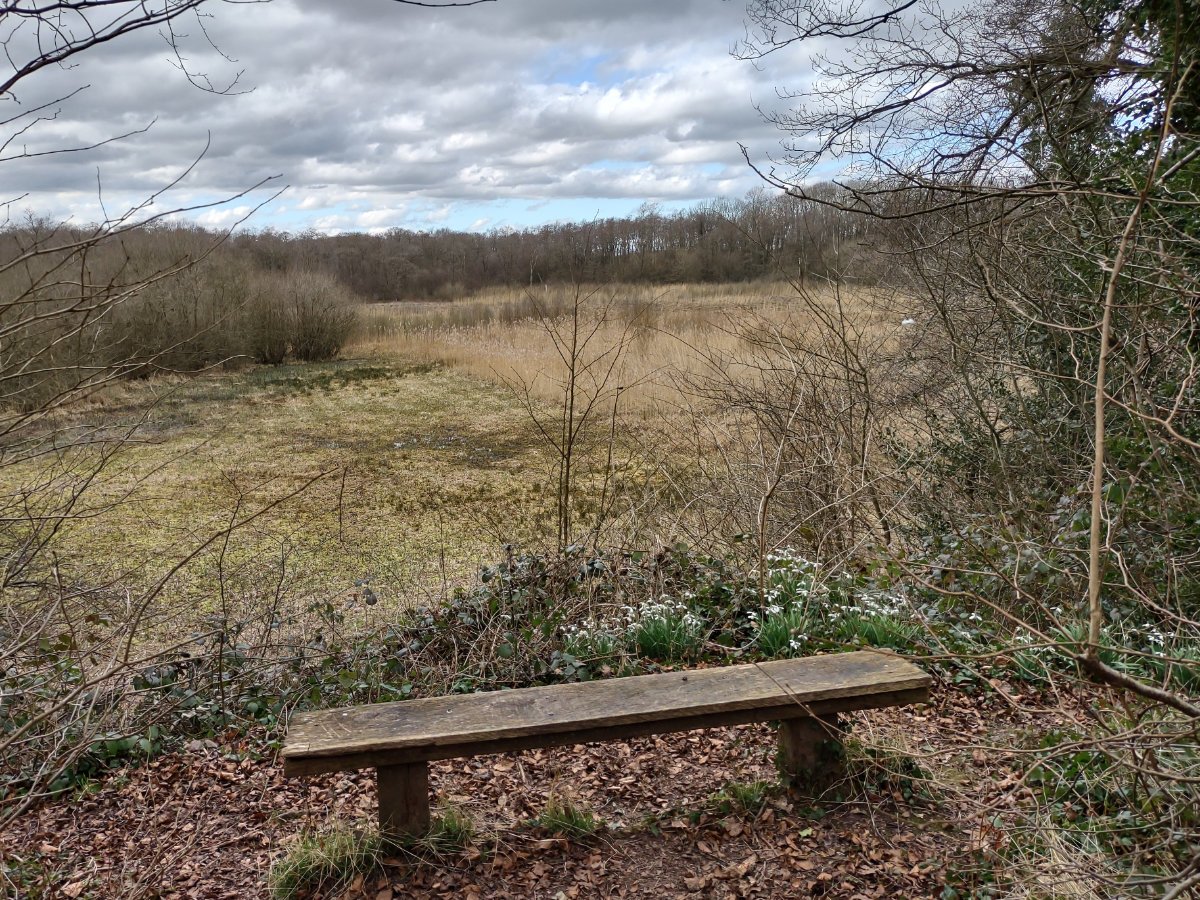 Post Banner - Loynton Moss at Woodseaves