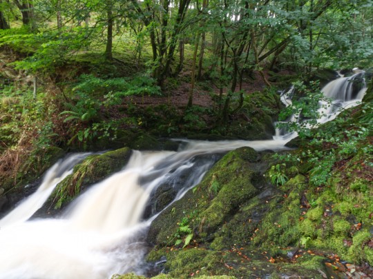 Arthog Falls - a gem tucked out of sight