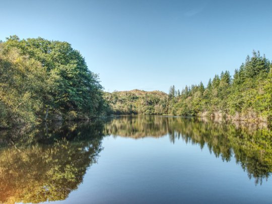 Coedydd Maentwrog's twin lake loop - Llyn Mair and Llyn Hafod-y-Llyn Banner