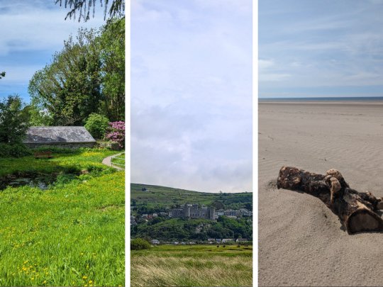 Harlech Town - From the beach to the top Banner