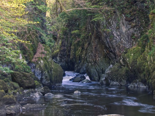 Fairy Glen - Betws-y-Coed Banner