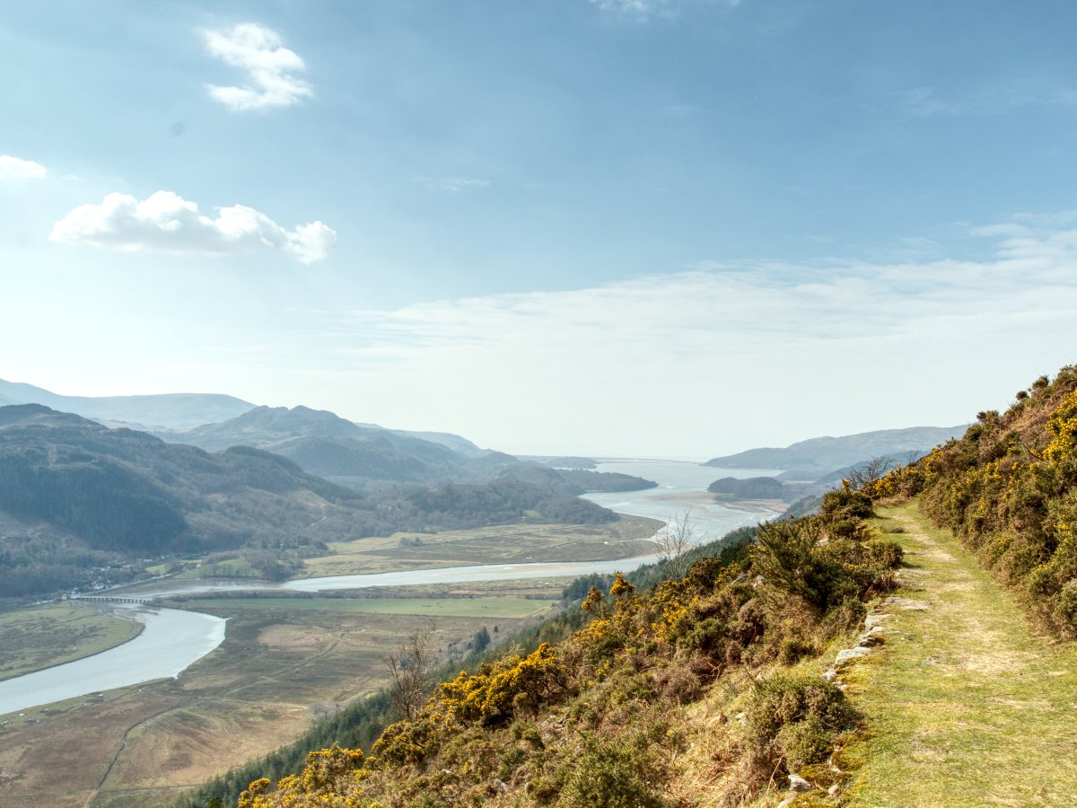 A view up the estuary from the New Precipice Walk