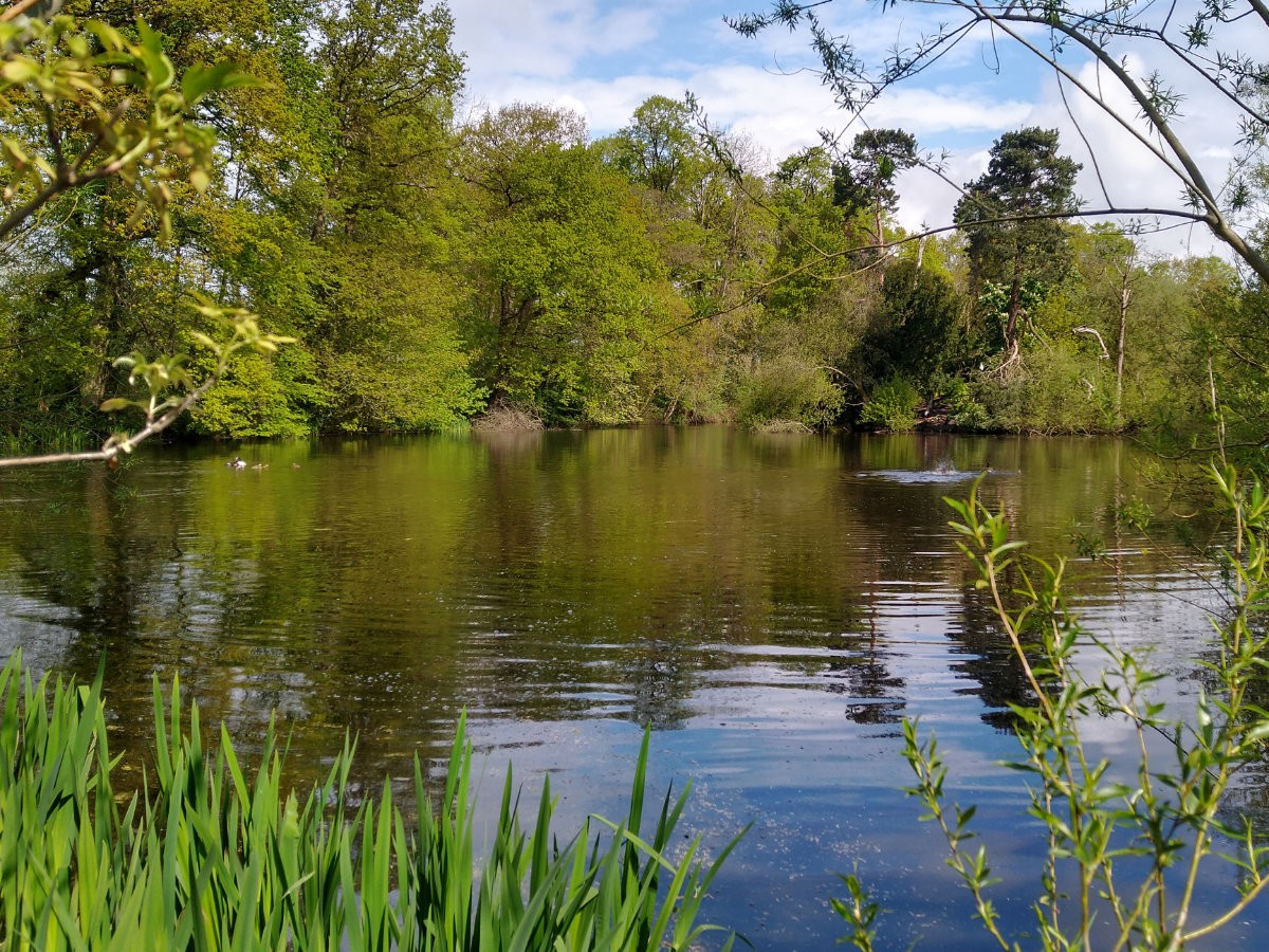 Post Banner - Pendeford Mill Nature Reserve