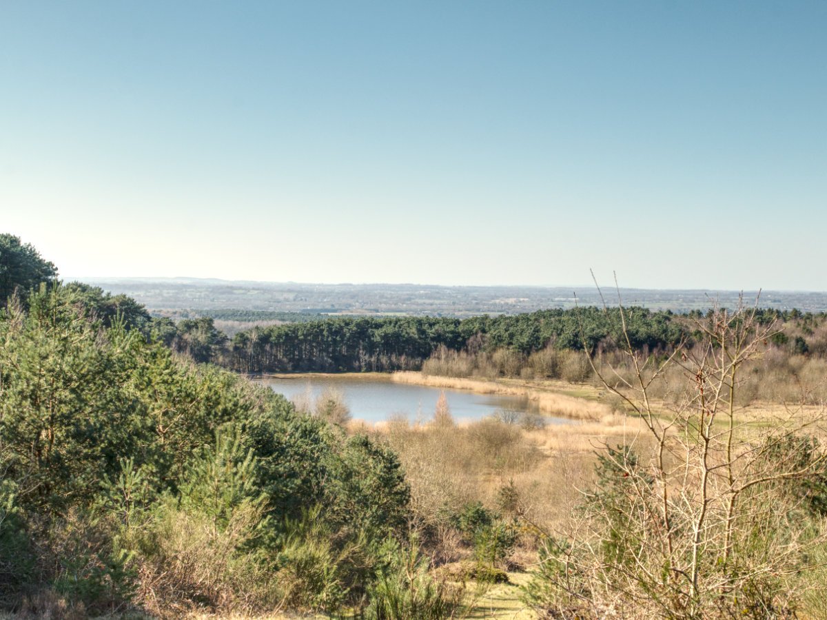 Post Banner - Shoal Hill Common at Cannock Chase