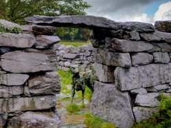 Beddgelert Grave Loop - an easy going walk in a beautiful town Banner