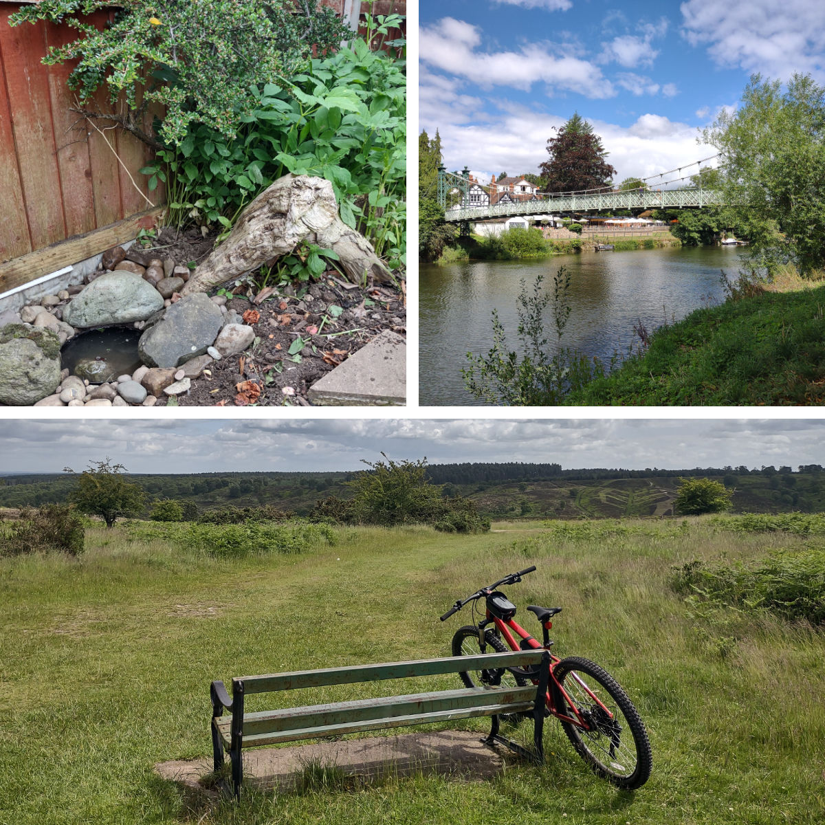 Summer activities - The frog pond, Shrewsbury and lots of riding