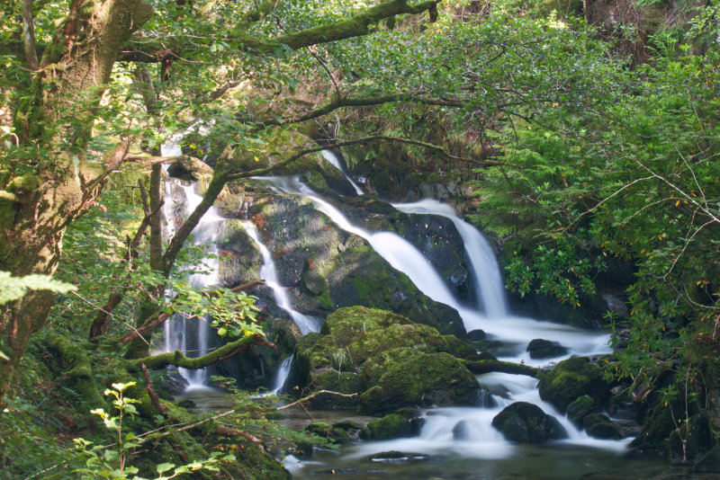 The pretty little waterfall