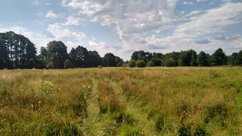 Sunny days in the countryside