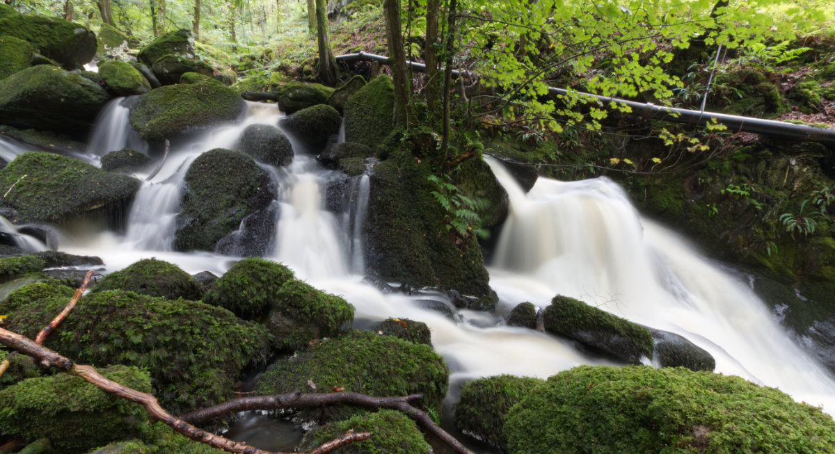 One of the many, many cascades at Arthog