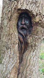 Tree Carving