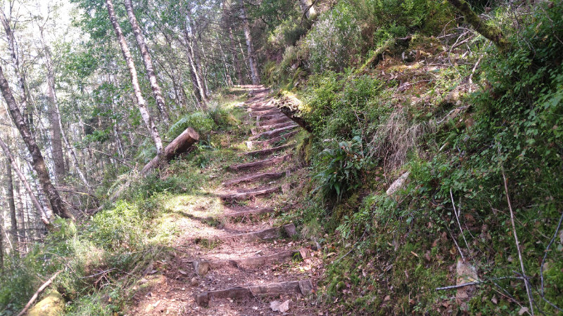 Descending stairs