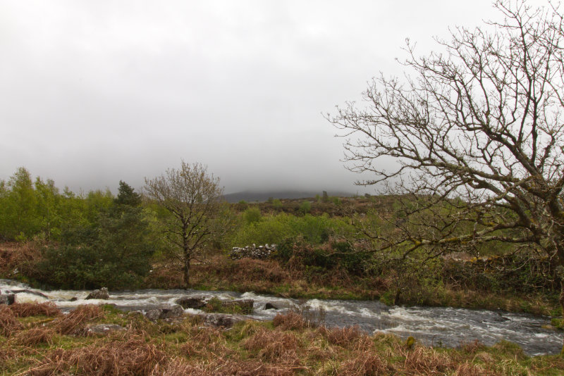 A cloudy day at the top