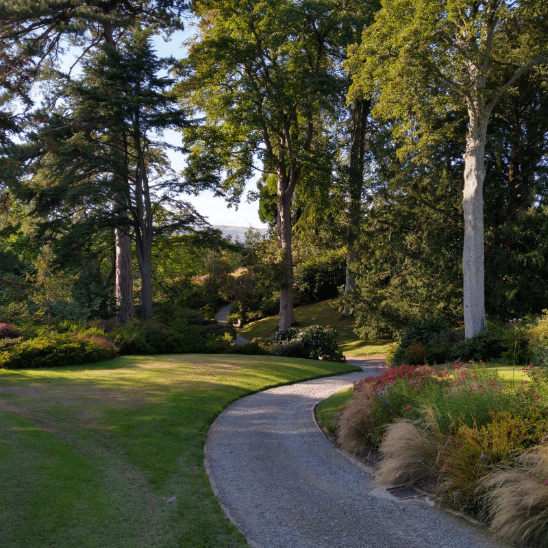 A path snaking downhill