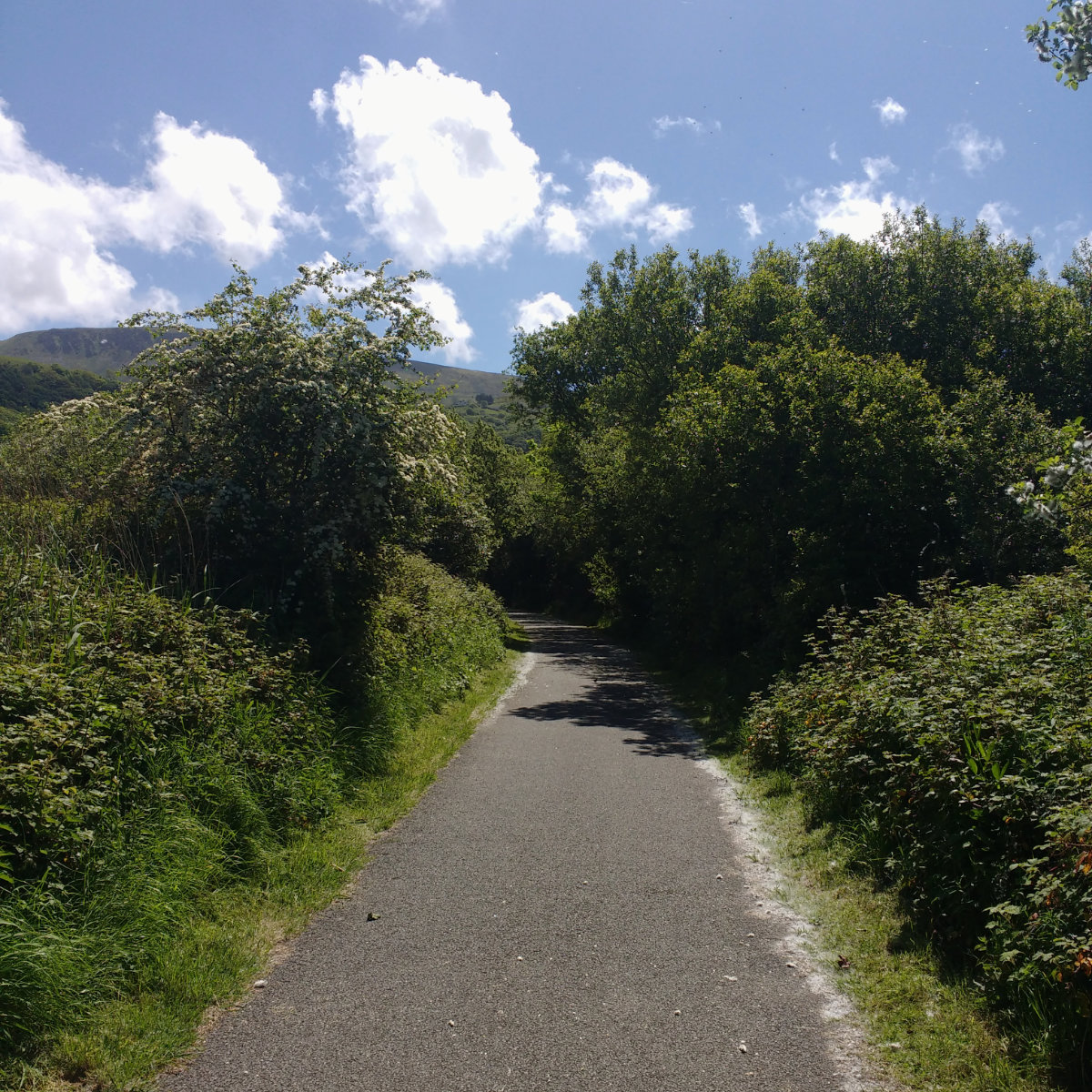 Walking the Mawddach trail from Barmouth Bridge