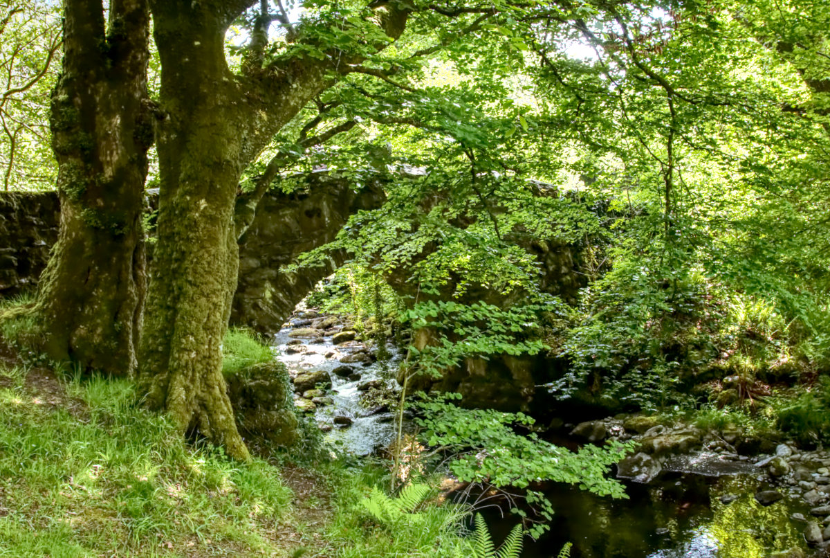 Pont Fadog