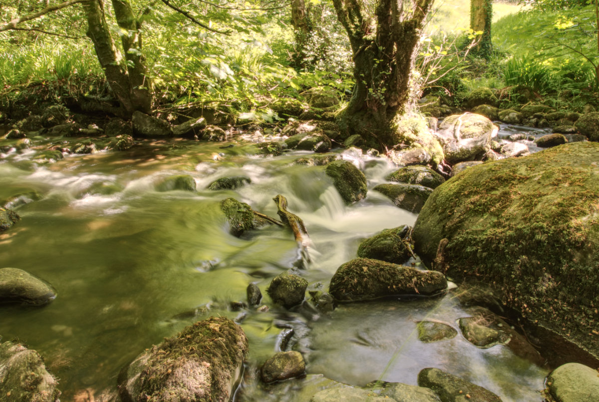 A small cascade witha trapped piece of wood