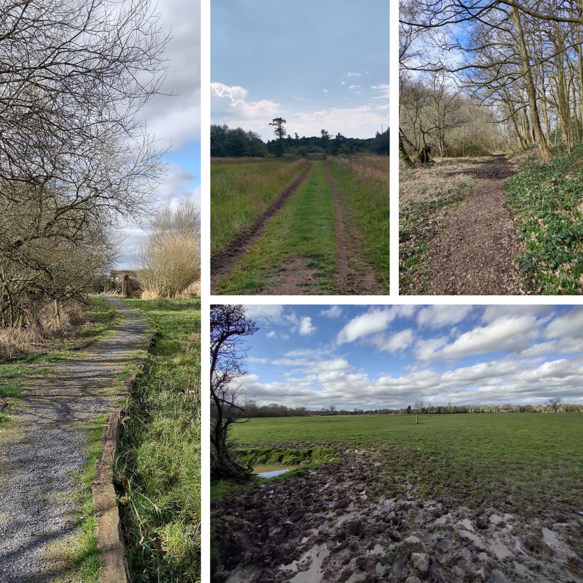 Some of the terrain at Aqualate Mere