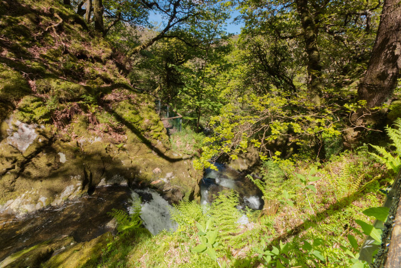 Falls from above