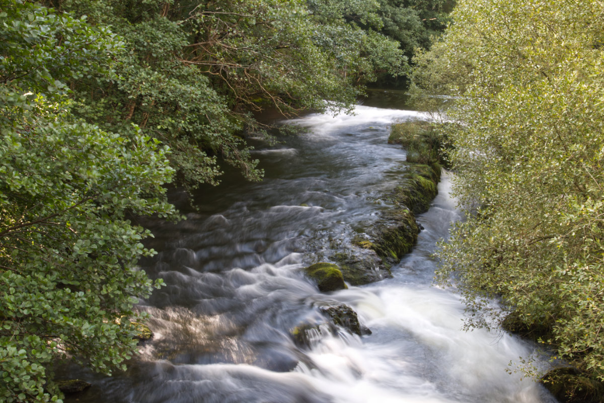 Looking down from the bridge to the Afon Clywedog