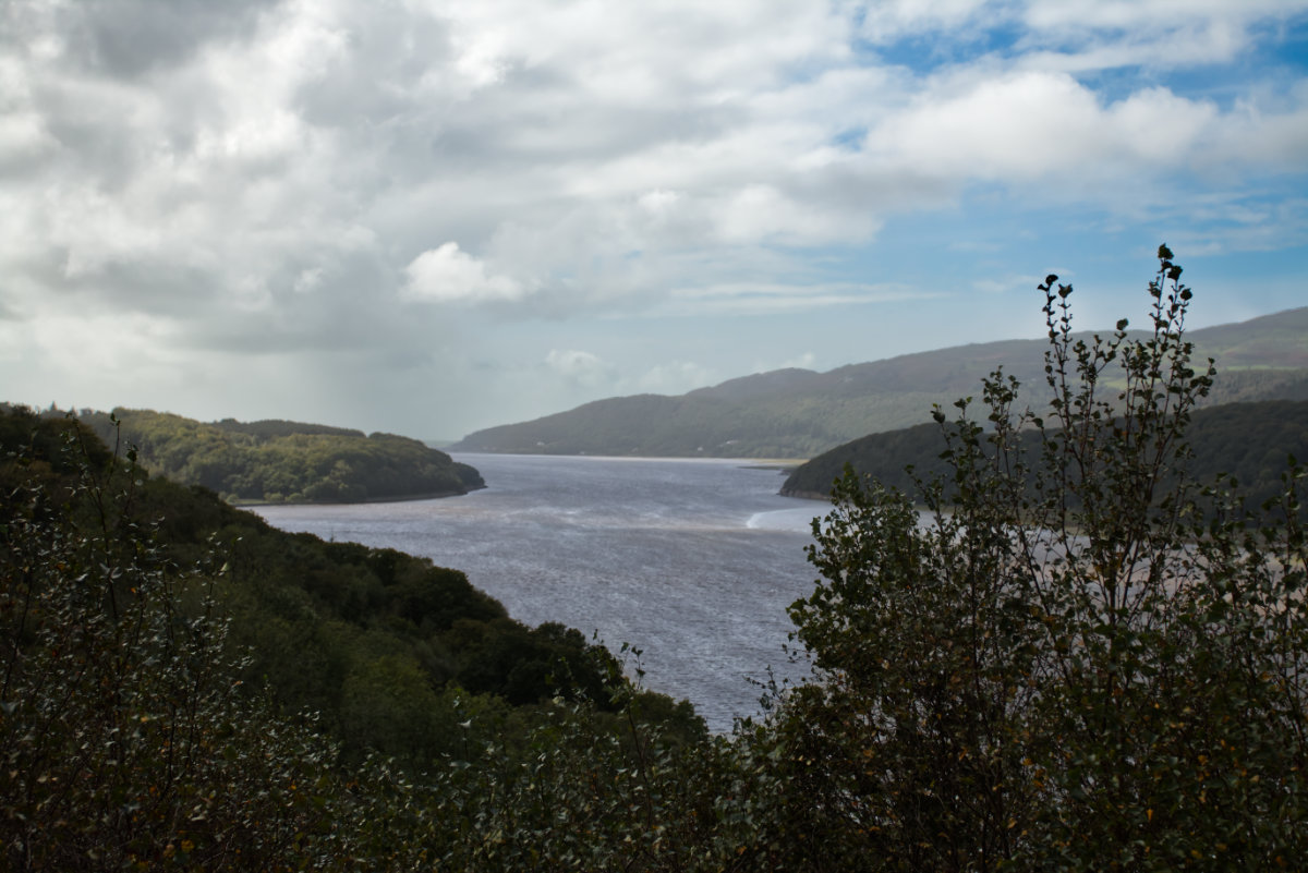 Estuary viewpoint