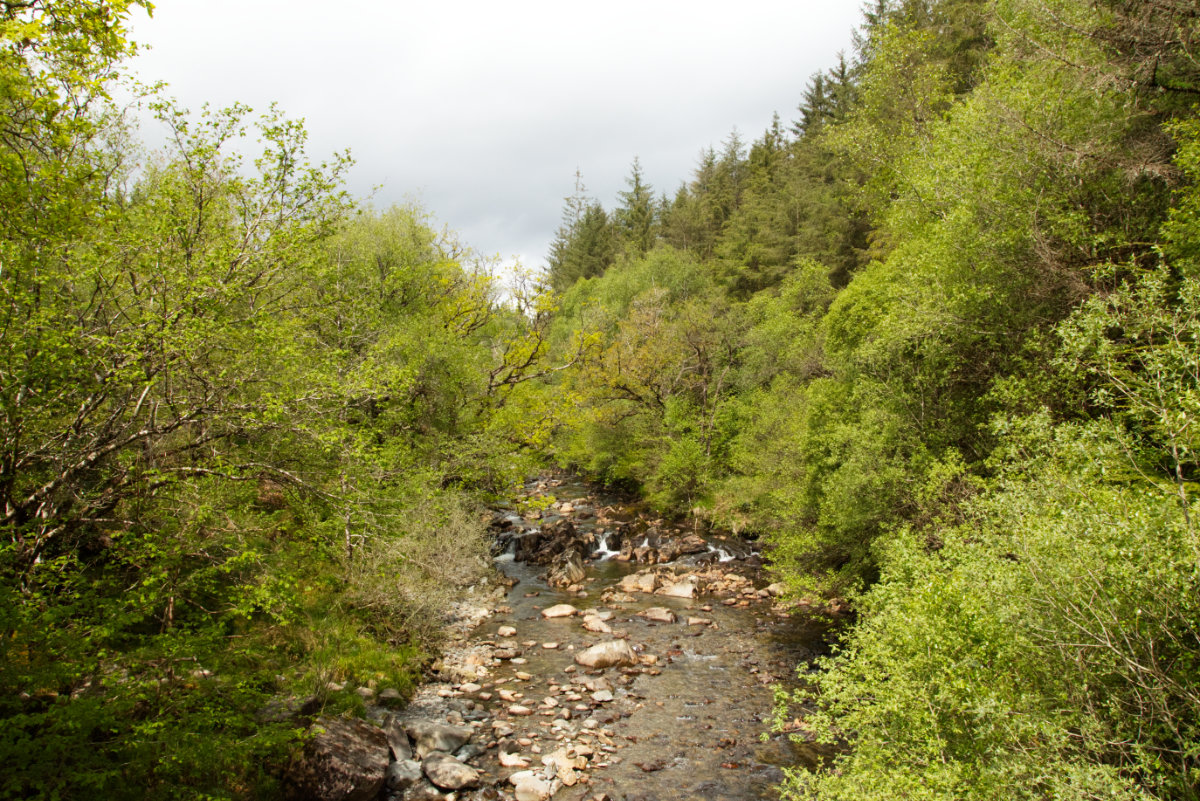 Low water levels on the Afon Gain