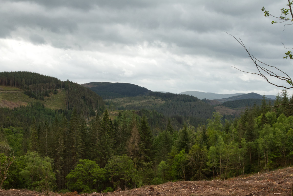 The return journey views