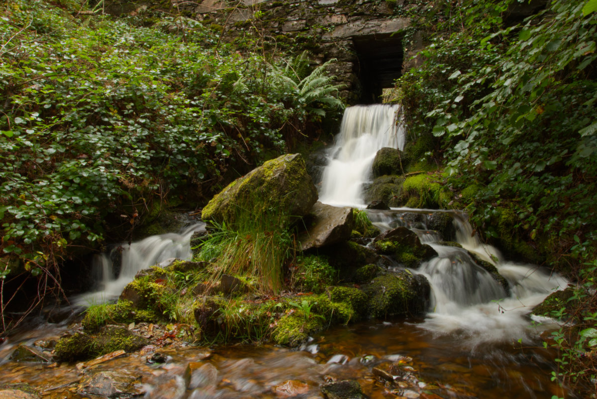 The waterfall at Tafarntrip Covert, under the railway line