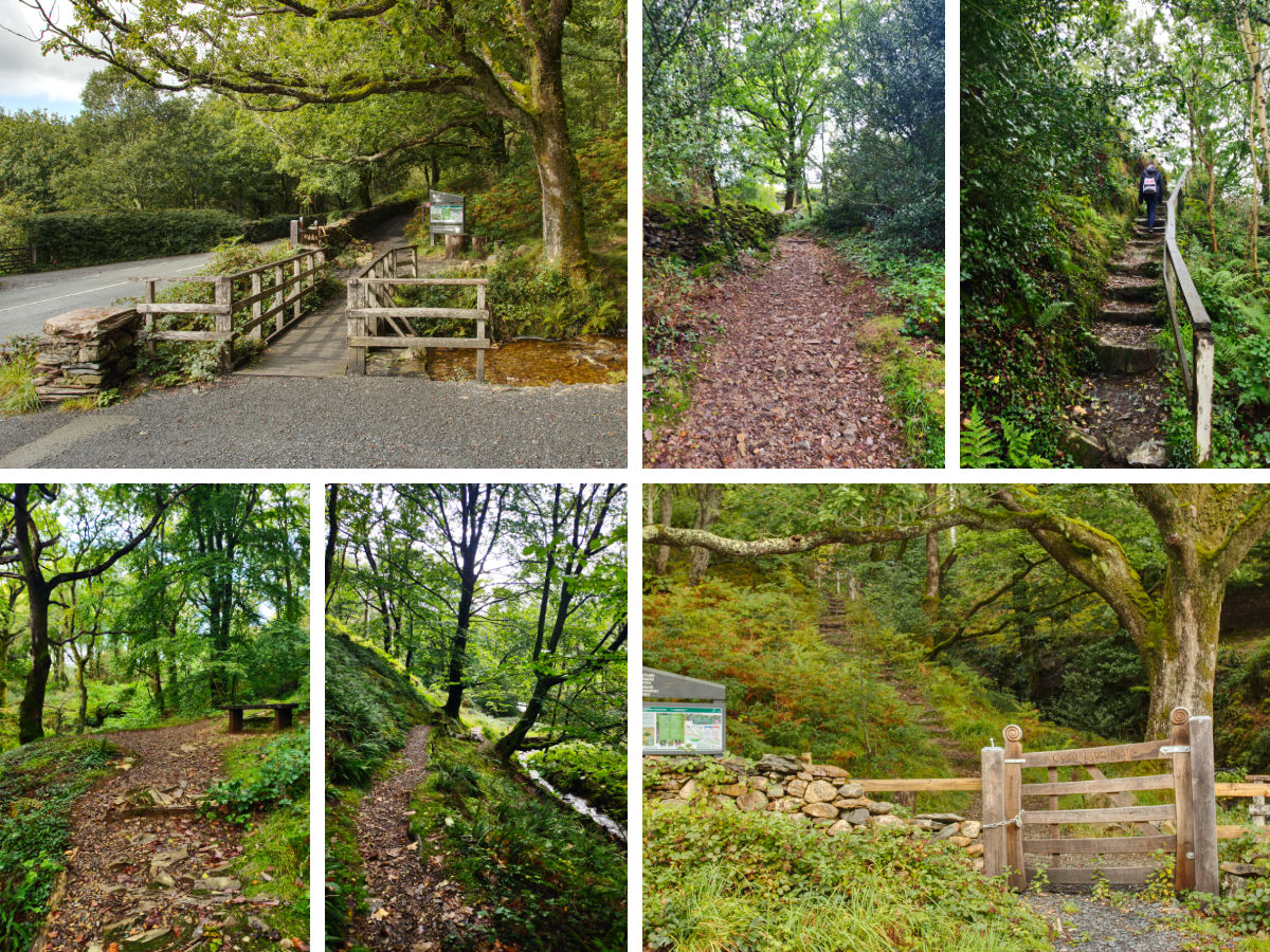 The woodland walks paths