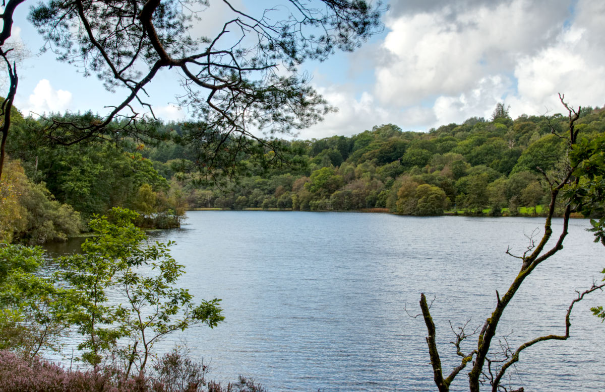 Return journey along Llyn Mair