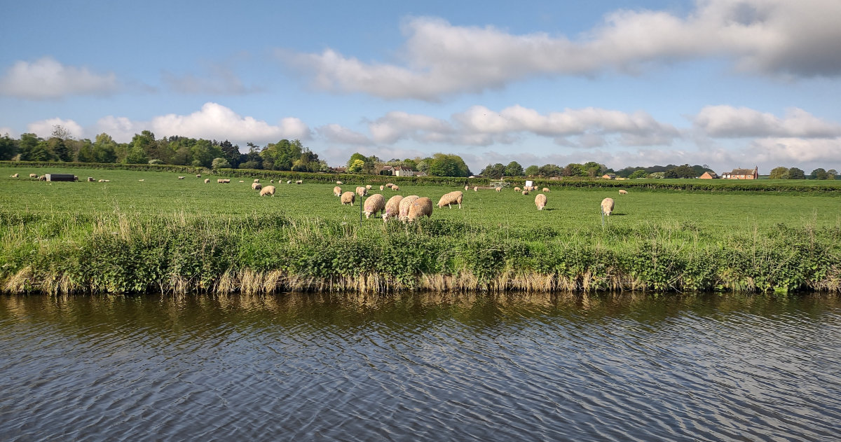 Out in the country