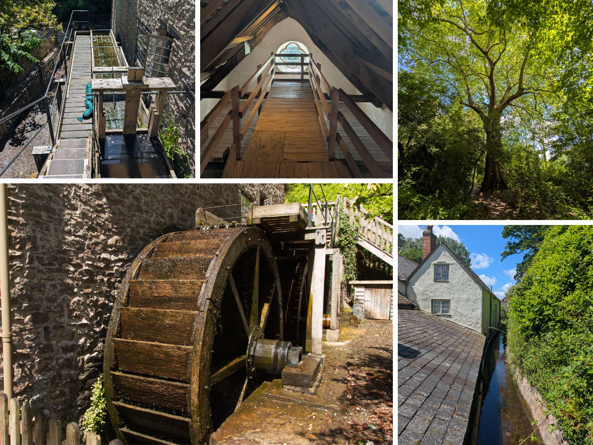 Exploring the mill and lower woods