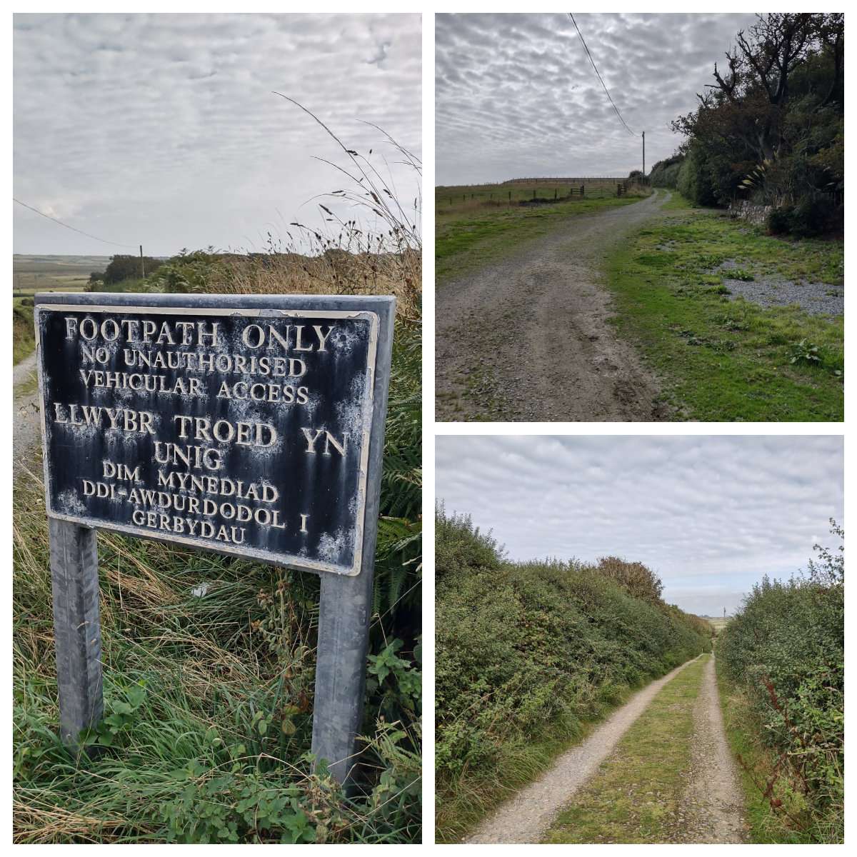 The approach walk to the beach