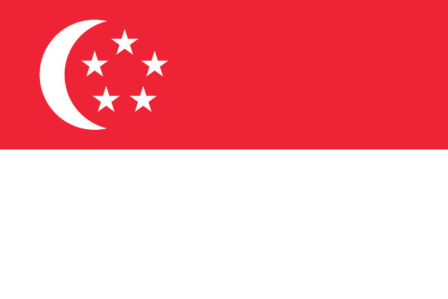 Flag question 8