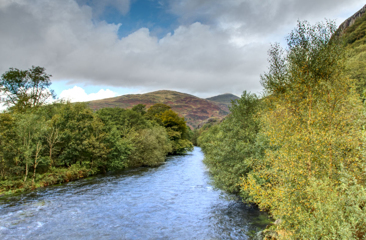 Looking up the river