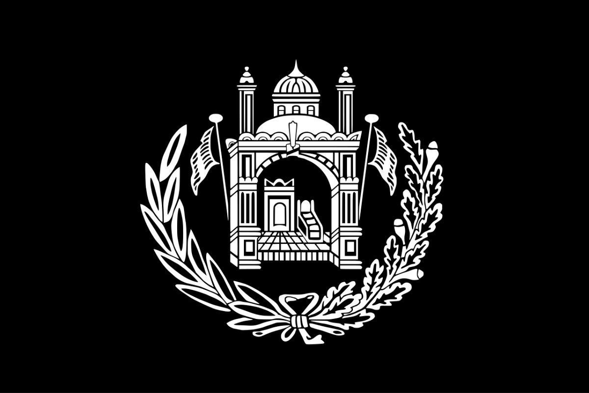 Flag question 10