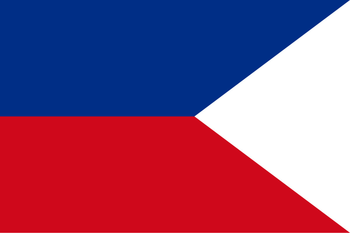 Flag question 4