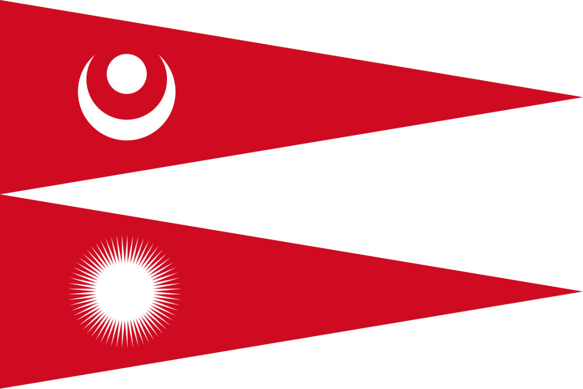 Flag question 5