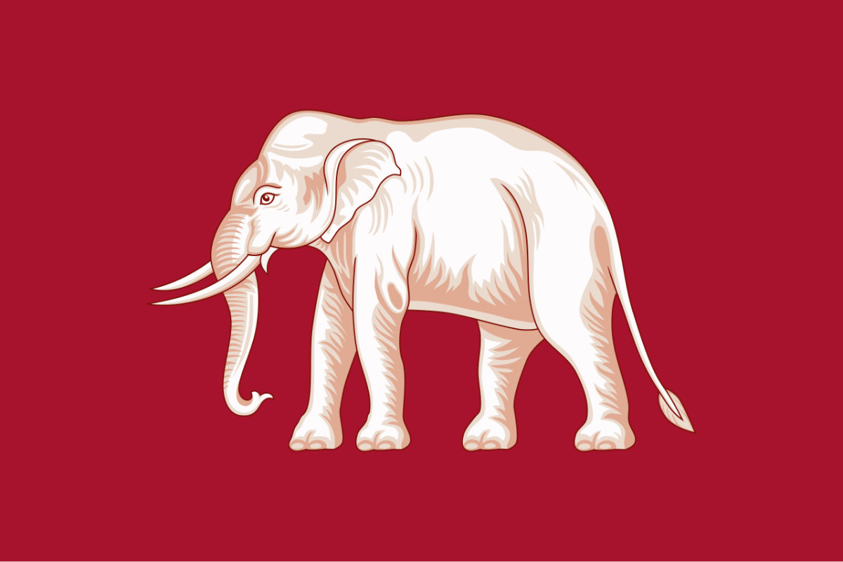 Flag question 6