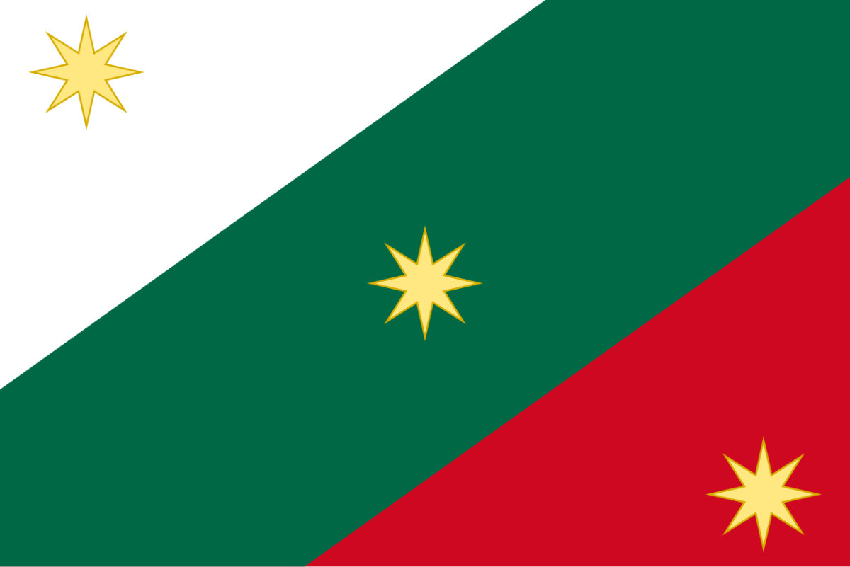 Flag question 9