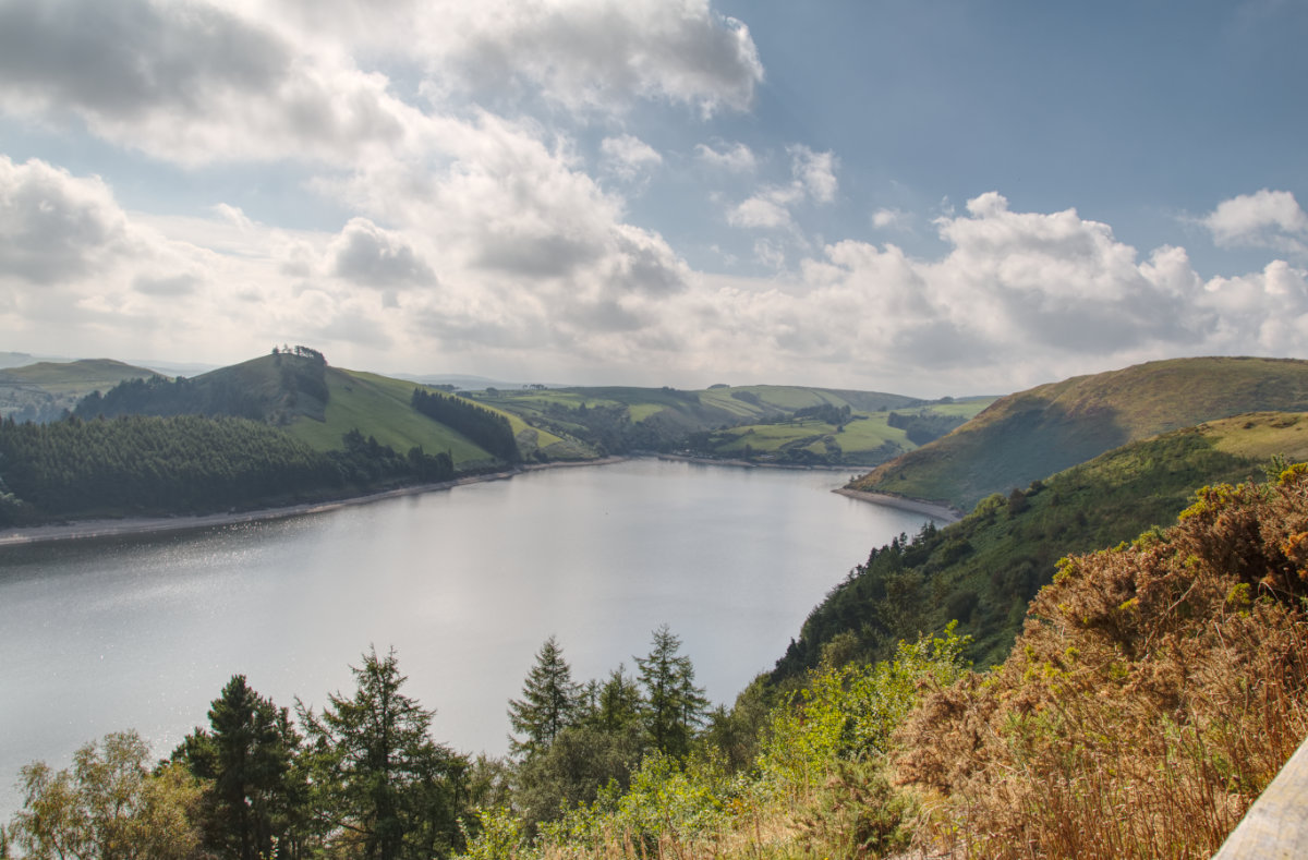 View up the lake from the main viewpoint