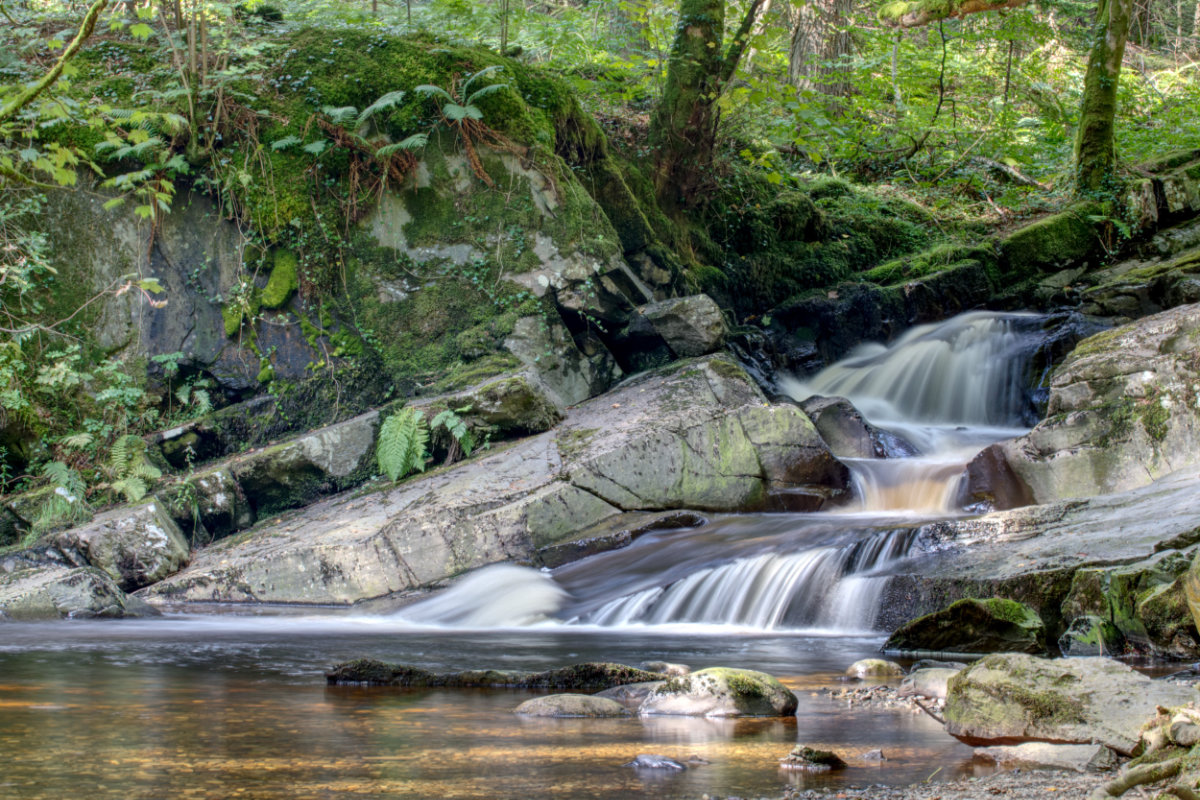 Falls hidden away at Lake Vyrnwy