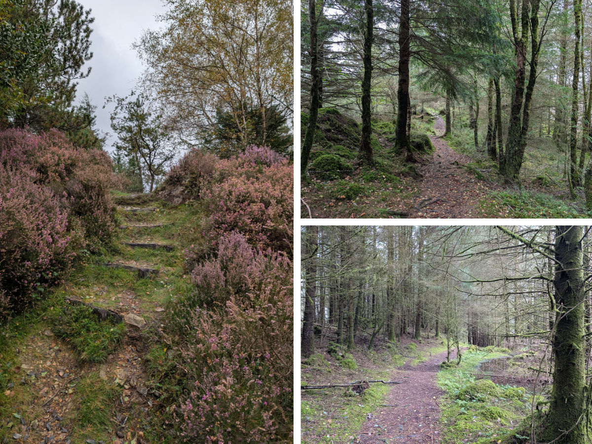 Making our way back to the start