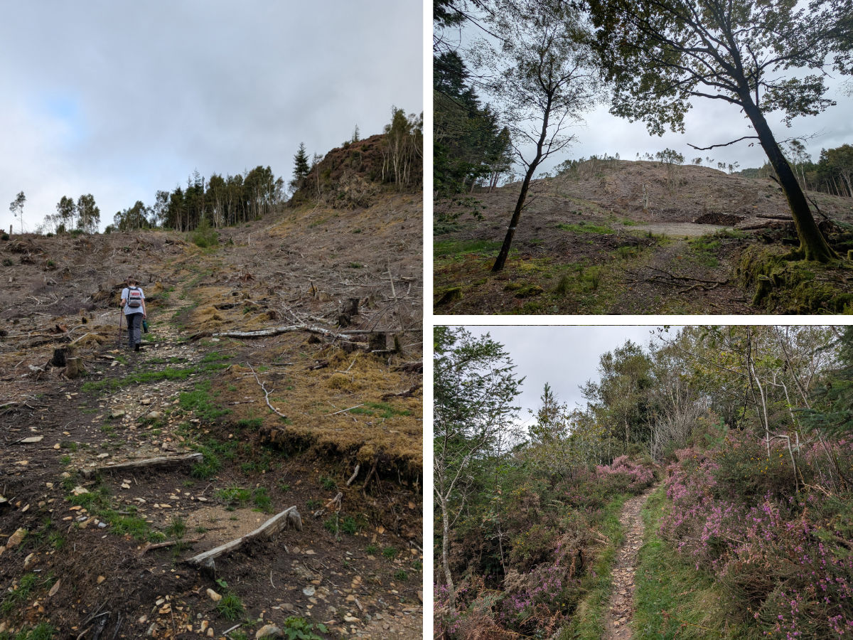 Climbing to the goal viewpoints