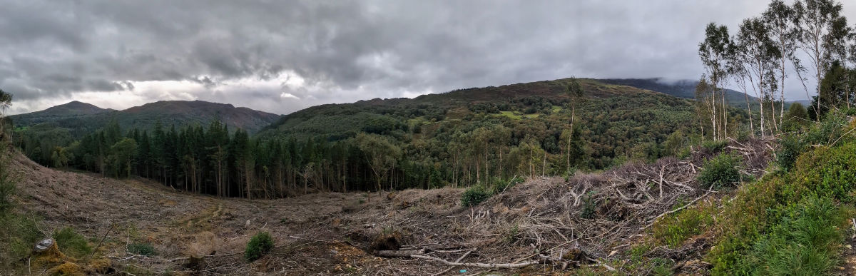 The views are already incredible part way up!